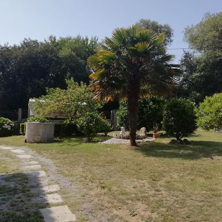 شقة سانكسينكسو  في Casa Sara المظهر الخارجي الصورة